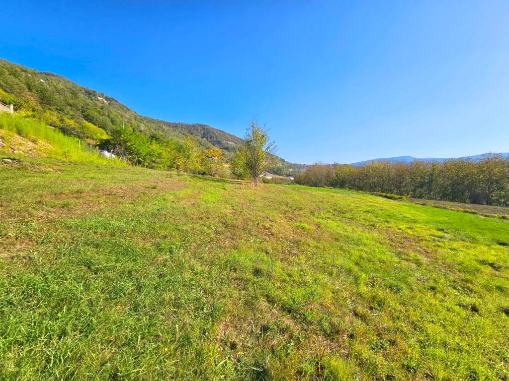 Casa indipendente a Torre bormida - Foto 4