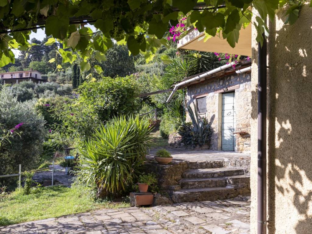 Rustico / casale a Pietrasanta - Foto 3
