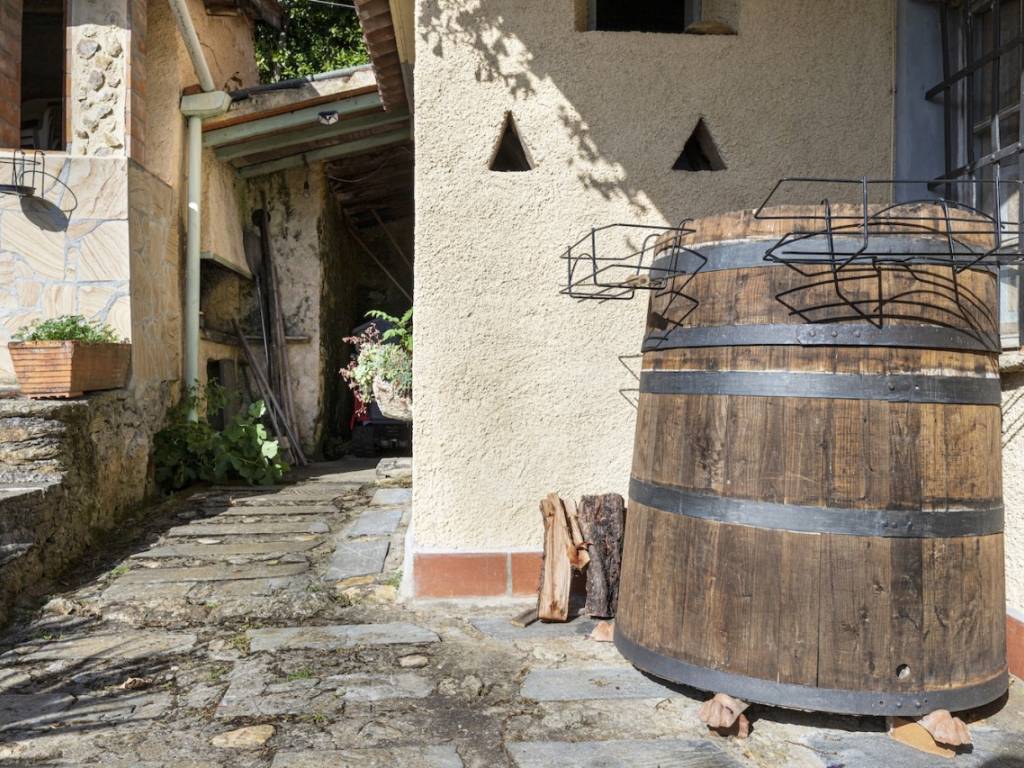 Rustico / casale a Pietrasanta - Foto 5