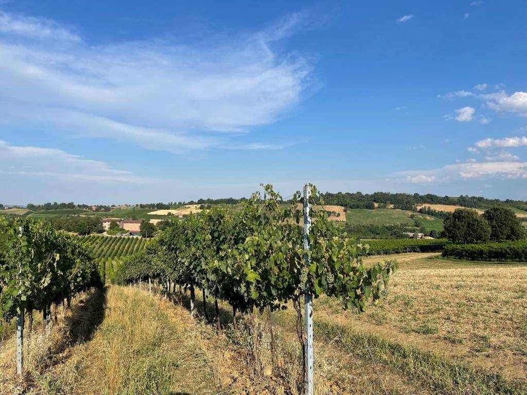 Terreno a Castelvetro di modena in Via Sinistra Guerro - Foto 2