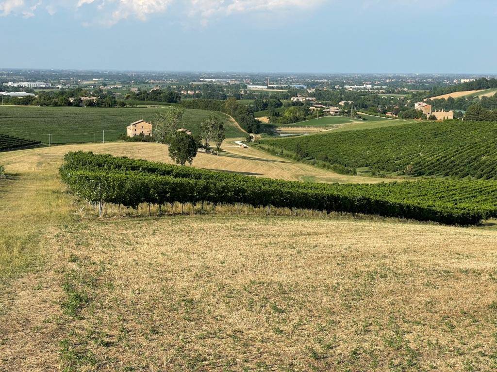 Terreno a Castelvetro di modena in Via Sinistra Guerro - Foto 3