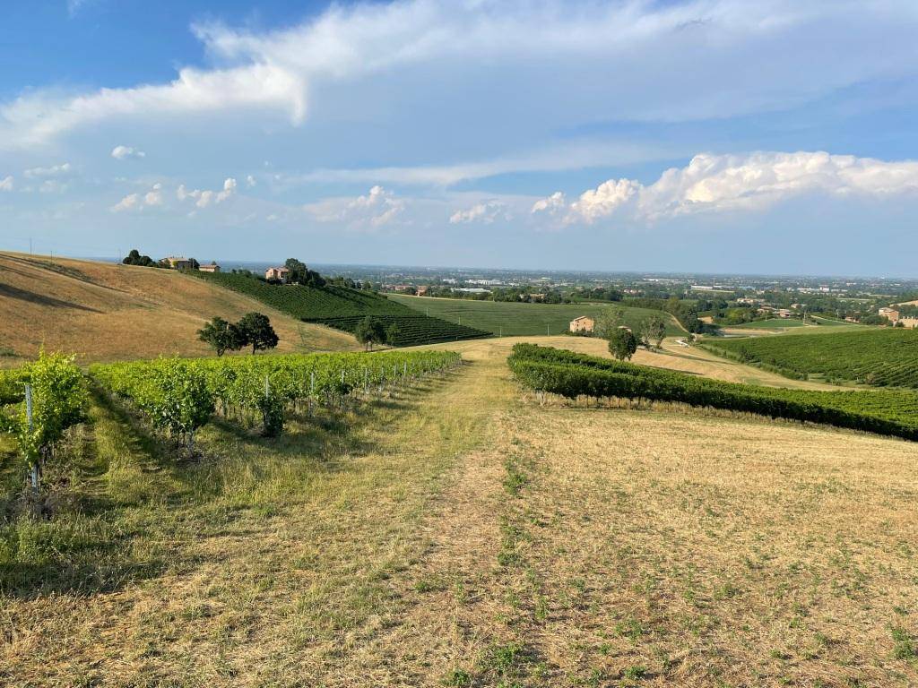 Terreno a Castelvetro di modena in Via Sinistra Guerro - Foto 4