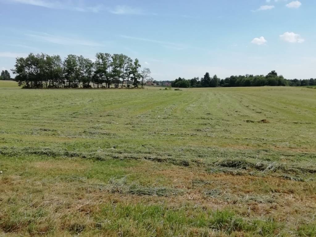 Terreno a Oleggio in Via Gaggiolo - Foto 2