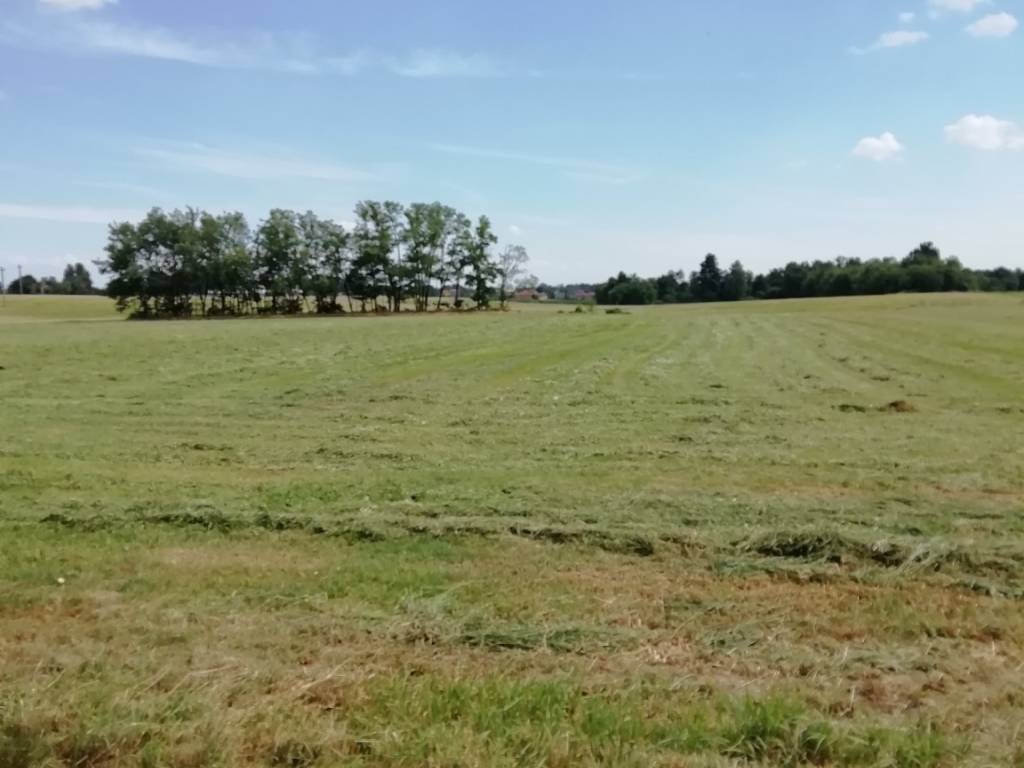 Terreno a Oleggio in Via Gaggiolo - Foto 3