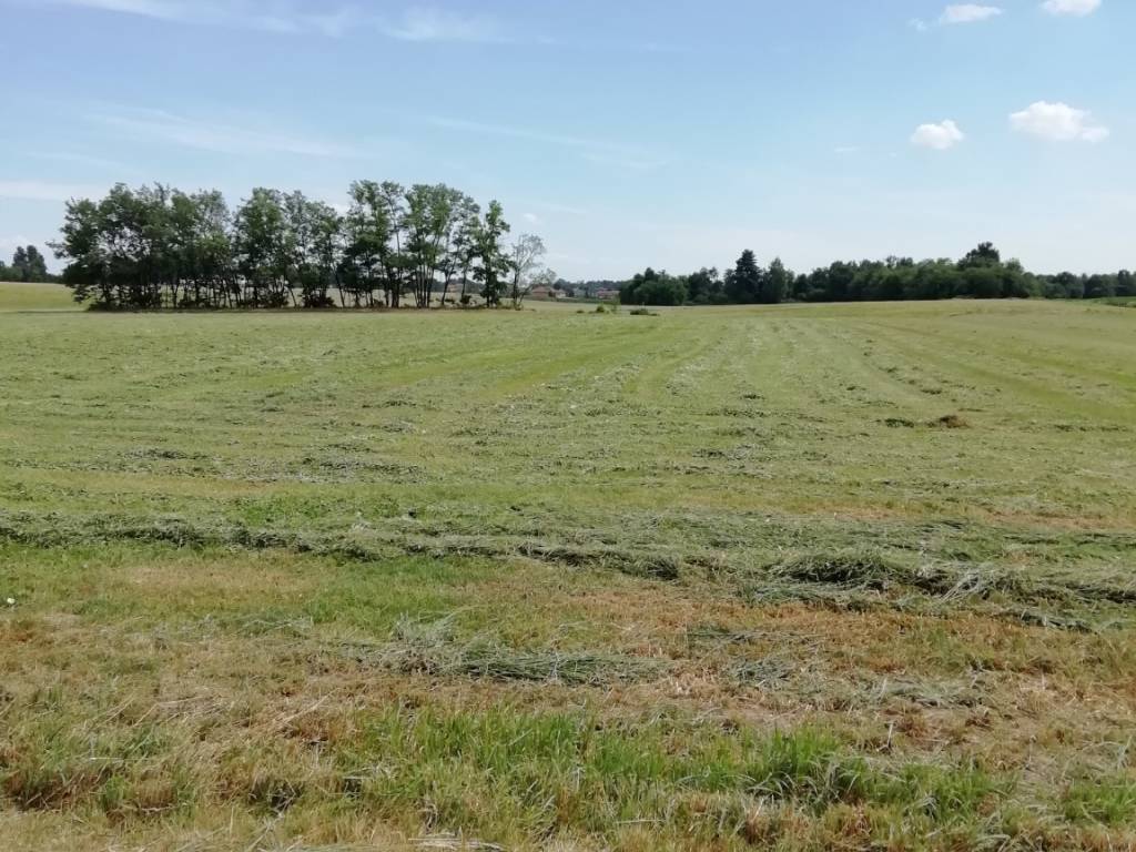 Terreno a Oleggio in Via Gaggiolo - Foto 4