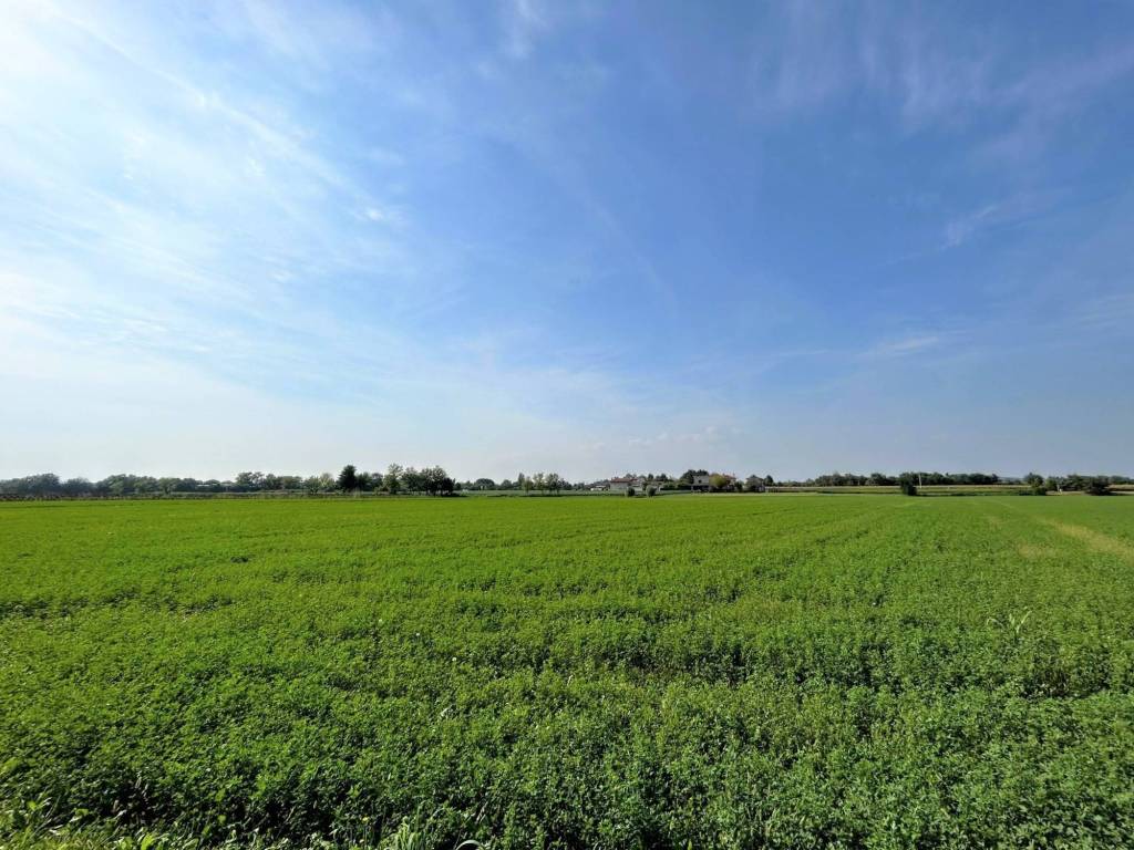 Terreno a Gradisca d'isonzo in Via Palmanova - Foto 2