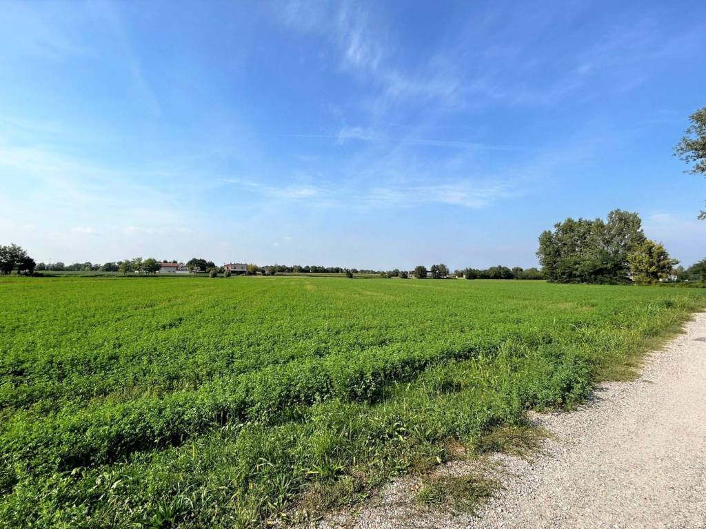 Terreno a Gradisca d'isonzo in Via Palmanova - Foto 3
