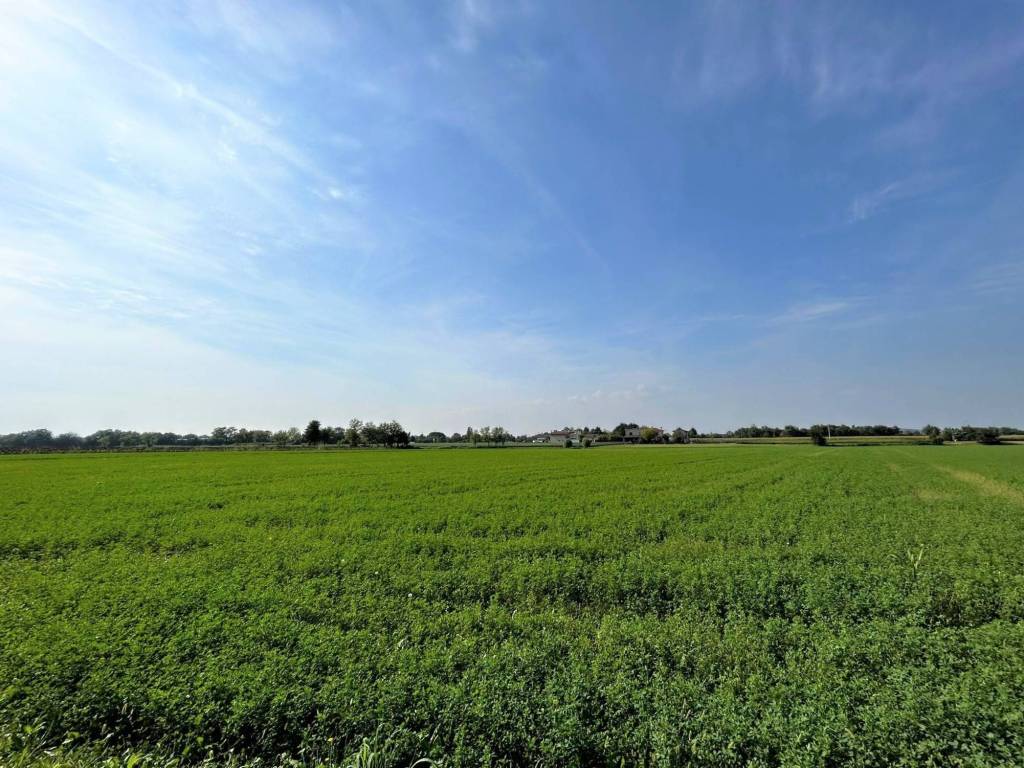 Terreno a Gradisca d'isonzo in Via Palmanova - Foto 4