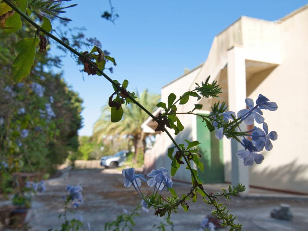 Villa a Lecce in via nicoloso da recco - Foto 5