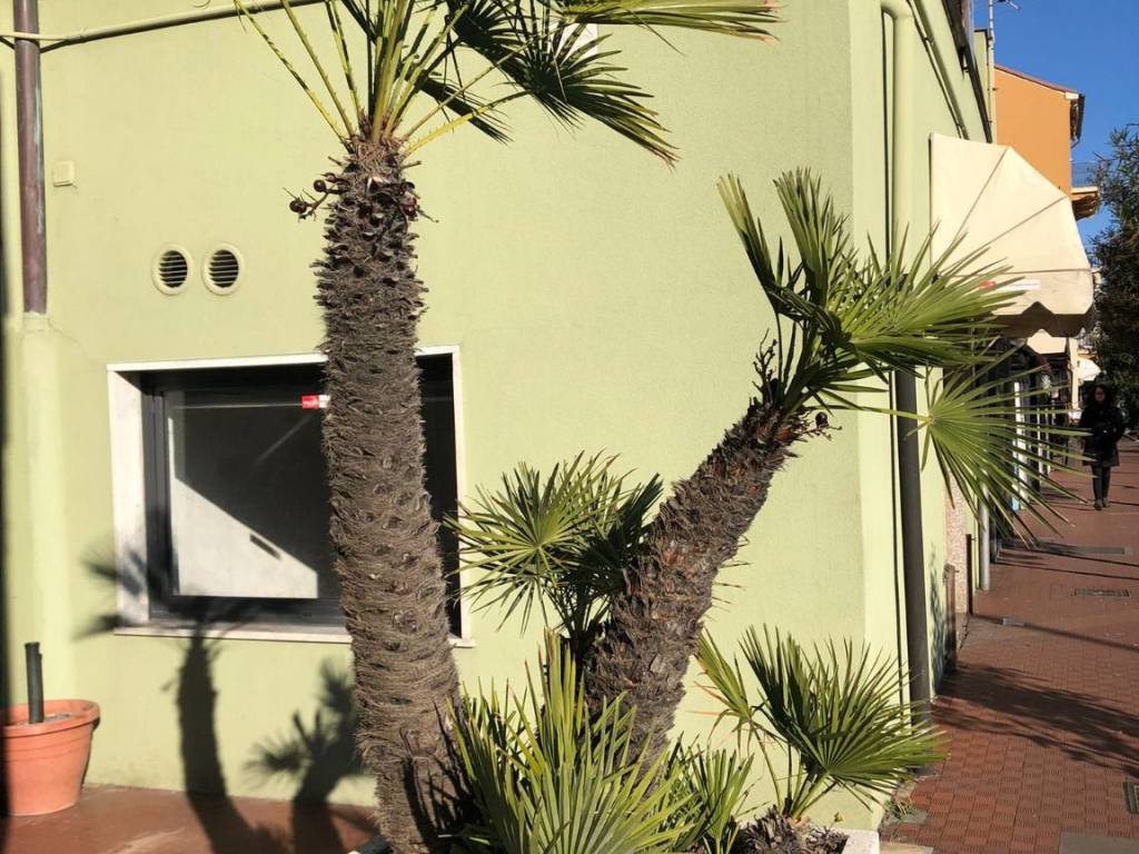 Immobile a Albissola marina in Corso Baldovino Bigliati - Foto 3