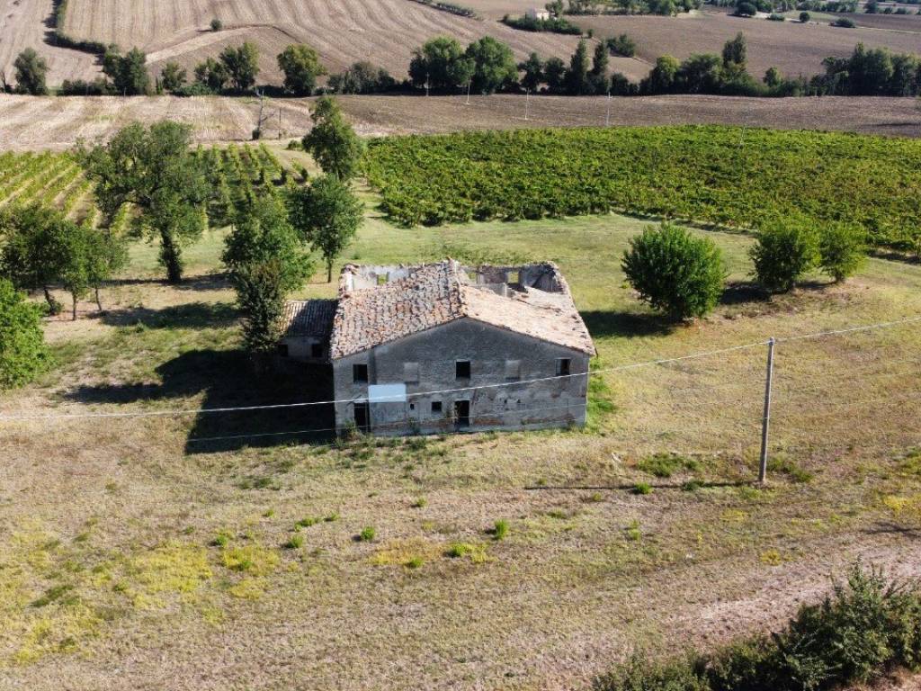 Rustico / casale a Mondavio in Via Le Serre - Foto 2