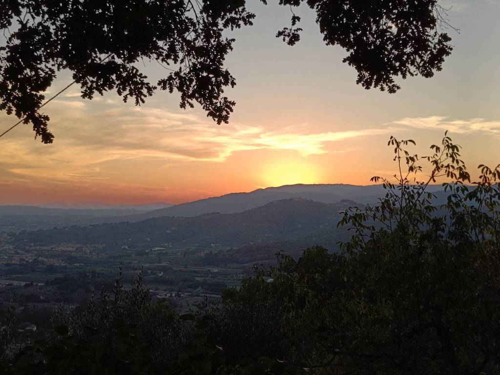 Terreno a Monsummano terme in Via Carboniga - Foto 2