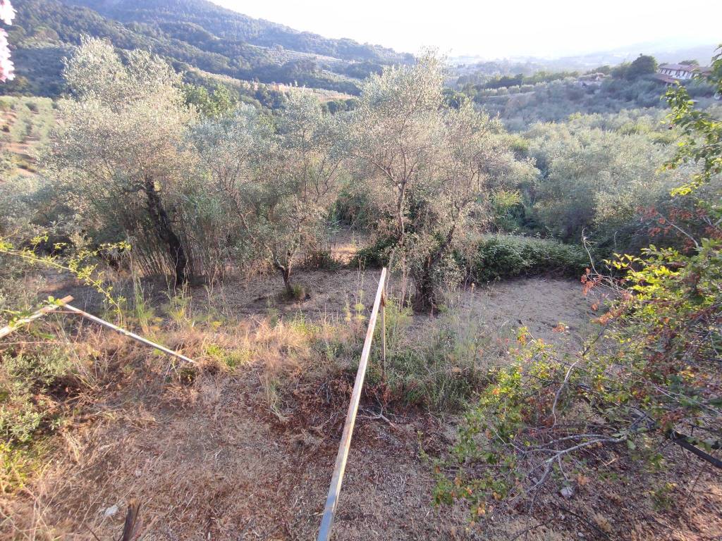 Terreno a Monsummano terme in Via Carboniga - Foto 4