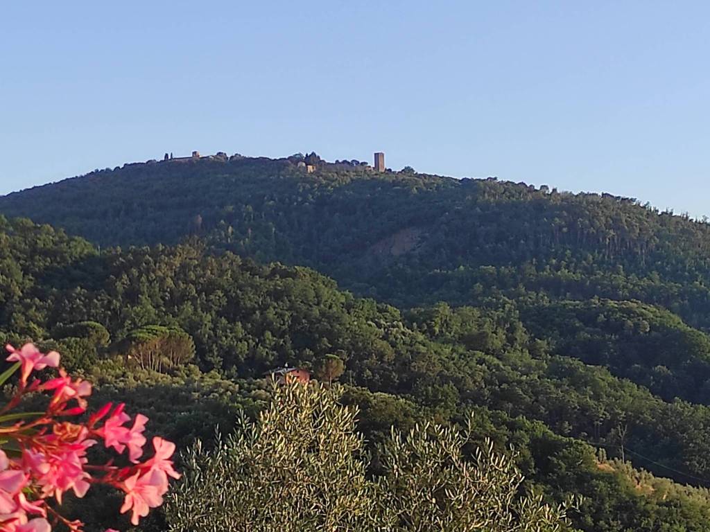 Terreno a Monsummano terme in Via Carboniga - Foto 5