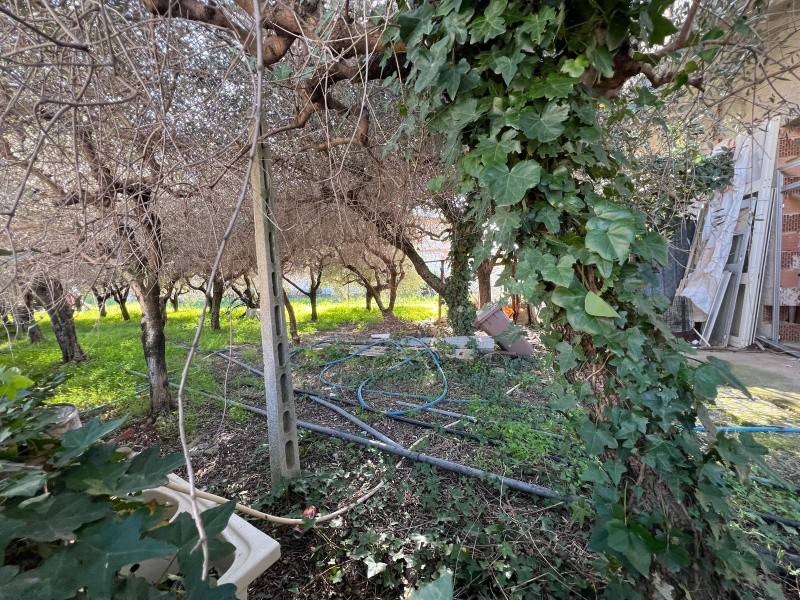 Terreno a Bellizzi - Foto 3