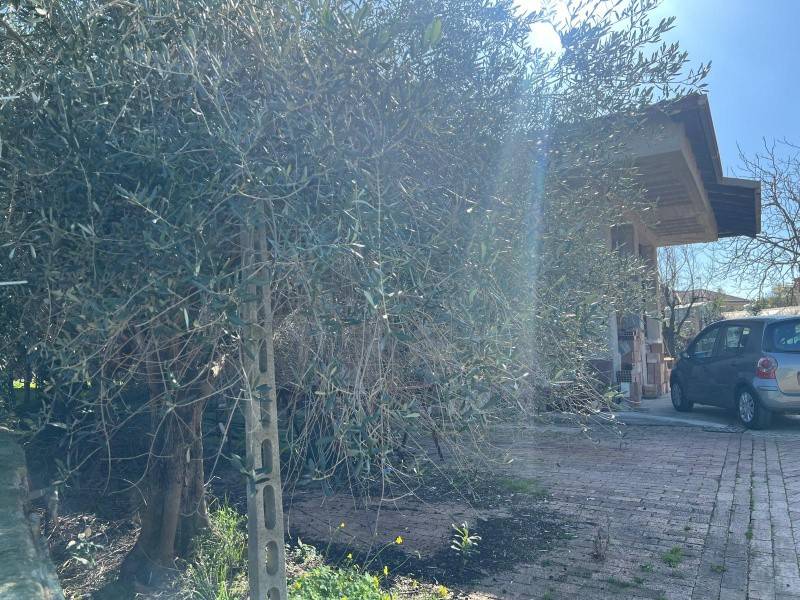 Terreno a Bellizzi - Foto 5