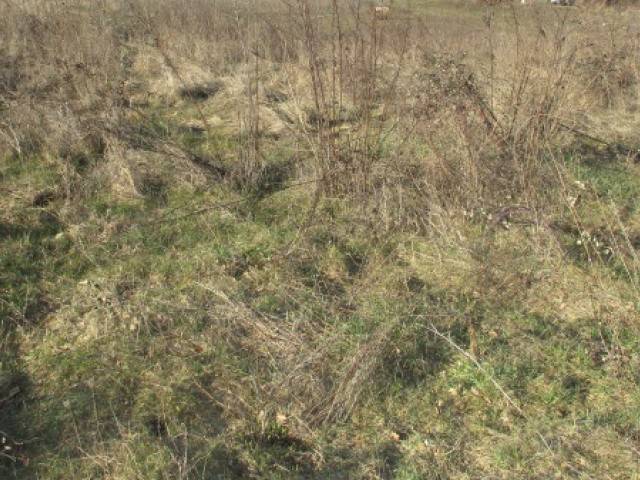 Terreno a Bucine - Foto 3
