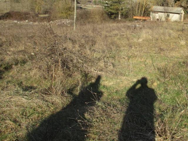 Terreno a Bucine - Foto 4