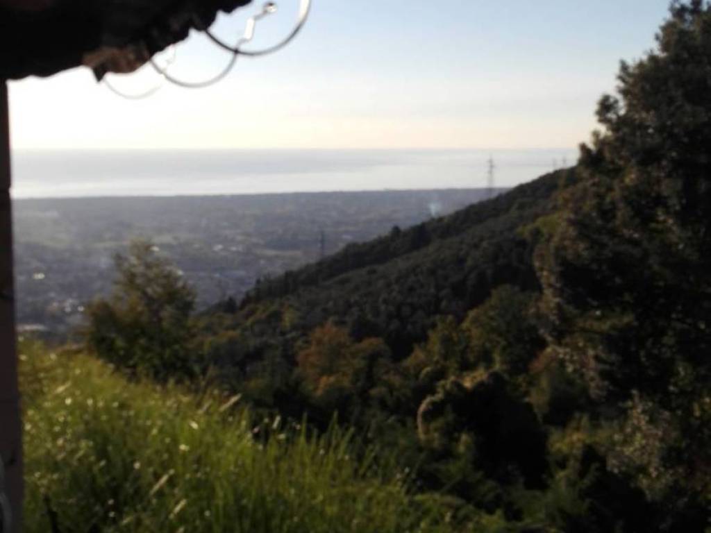 Villa a Pietrasanta in Complesso residenziale Capezzano Monte - Foto 4