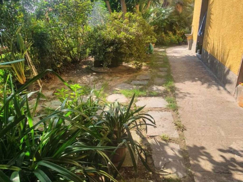 Villa a Pietrasanta - Foto 3