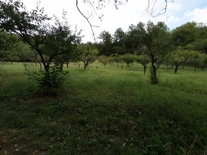 Terreno a Terranuova bracciolini - Foto 2