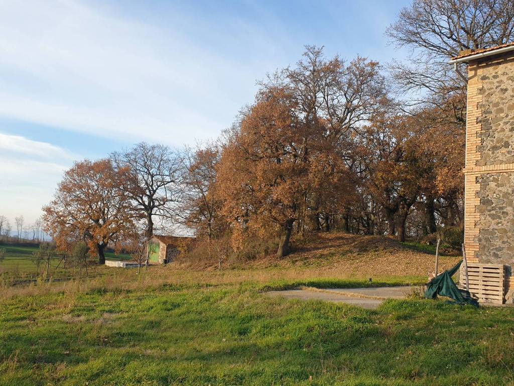 Rustico / casale a Bagnoregio - Foto 2