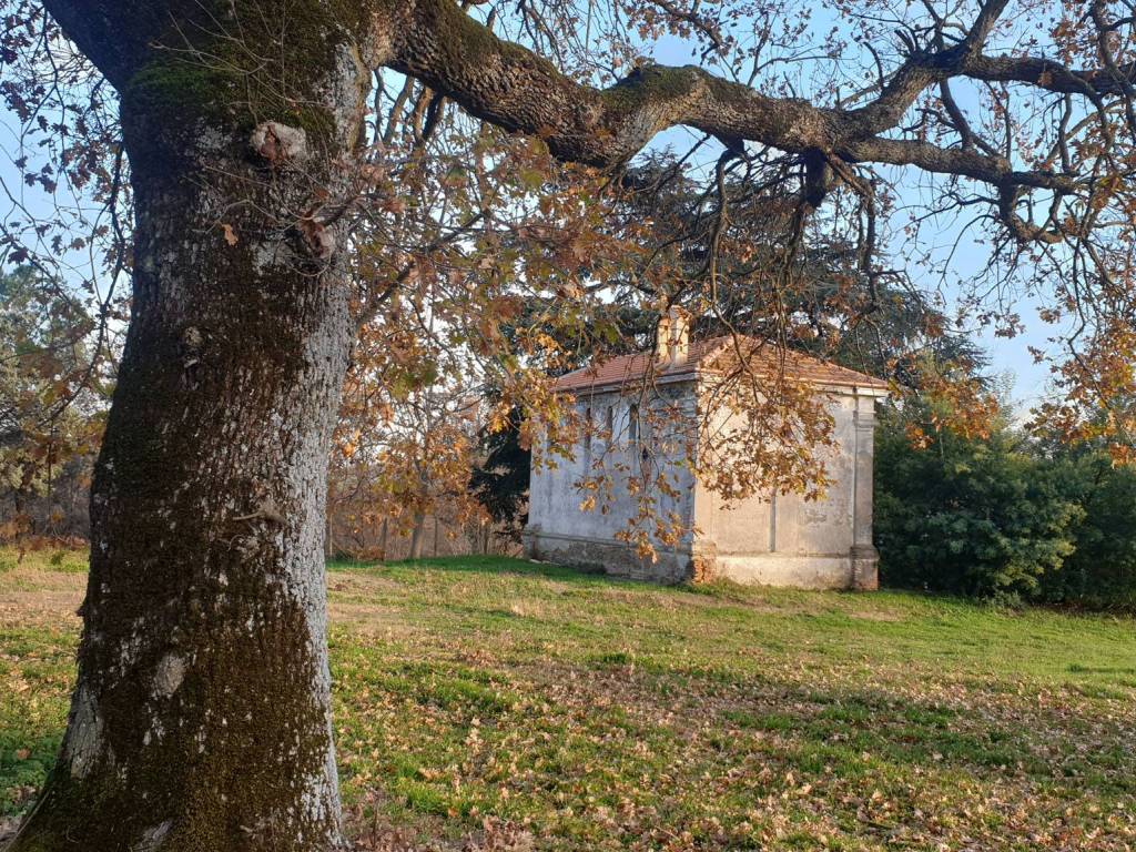Rustico / casale a Bagnoregio - Foto 5