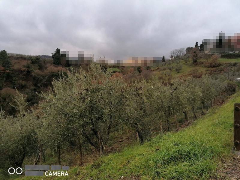 Terreno a Montevarchi - Foto 2