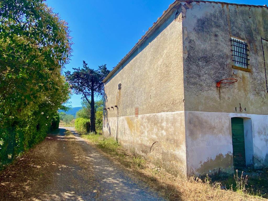 Rustico / casale a Castagneto carducci - Foto 3