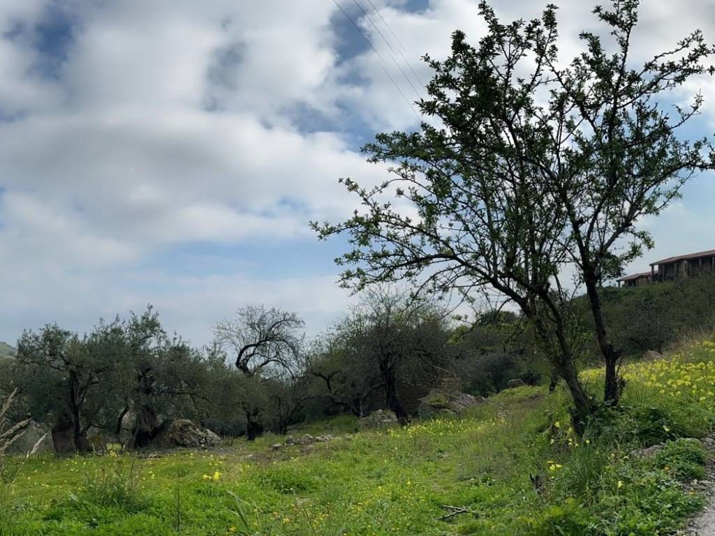 Terreno a Castelmola in Contrada Mastrissa - Foto 4
