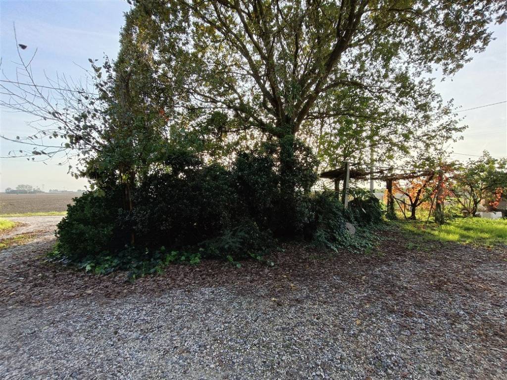 Villa a Alfonsine in Via Reale Voltana, 15 - Foto 3
