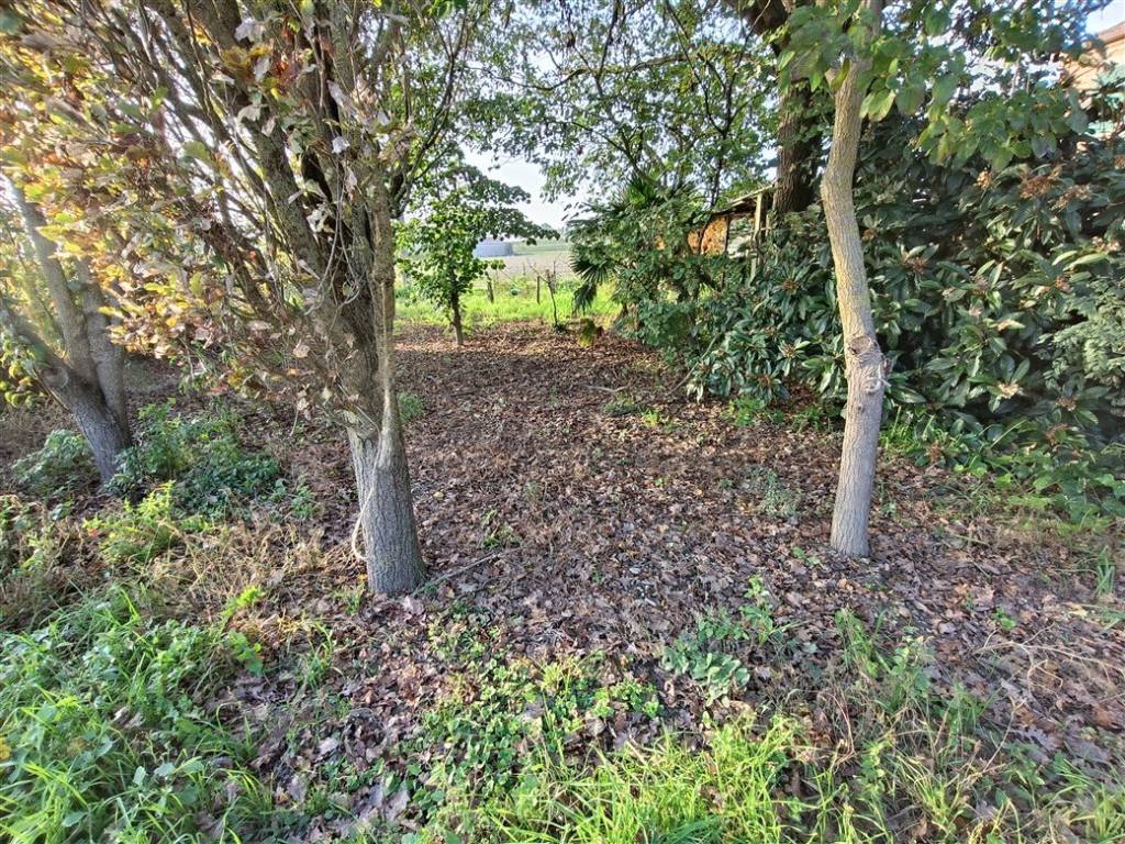 Villa a Alfonsine in Via Reale Voltana, 15 - Foto 5