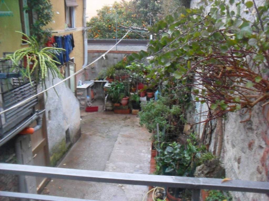 Villa a Pietrasanta - Foto 2