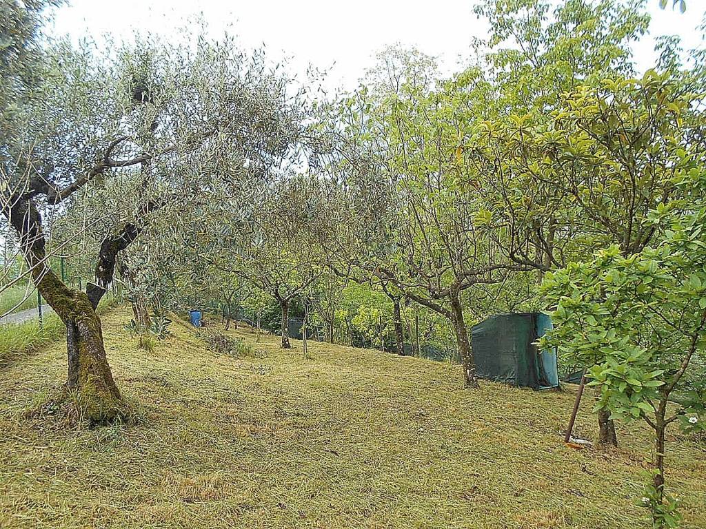 Terreno a Pistoia - Foto 3