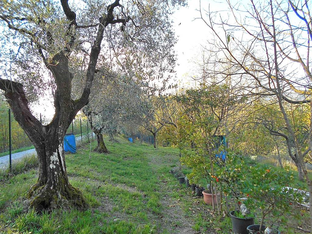 Terreno a Pistoia - Foto 4