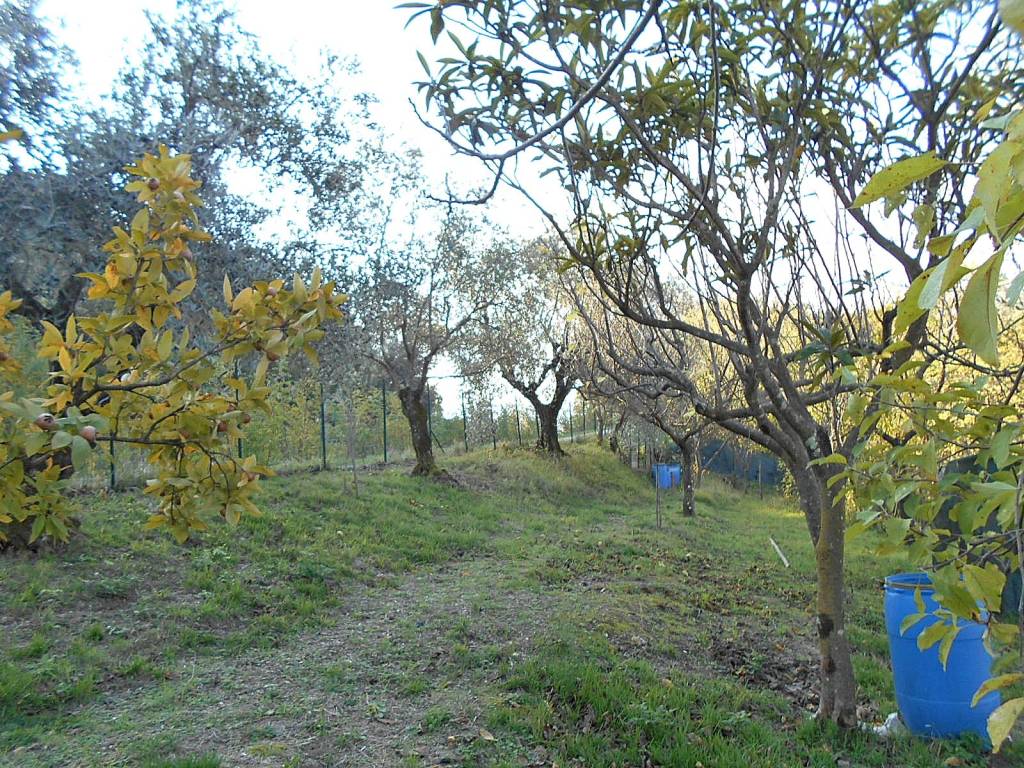 Terreno a Pistoia - Foto 5