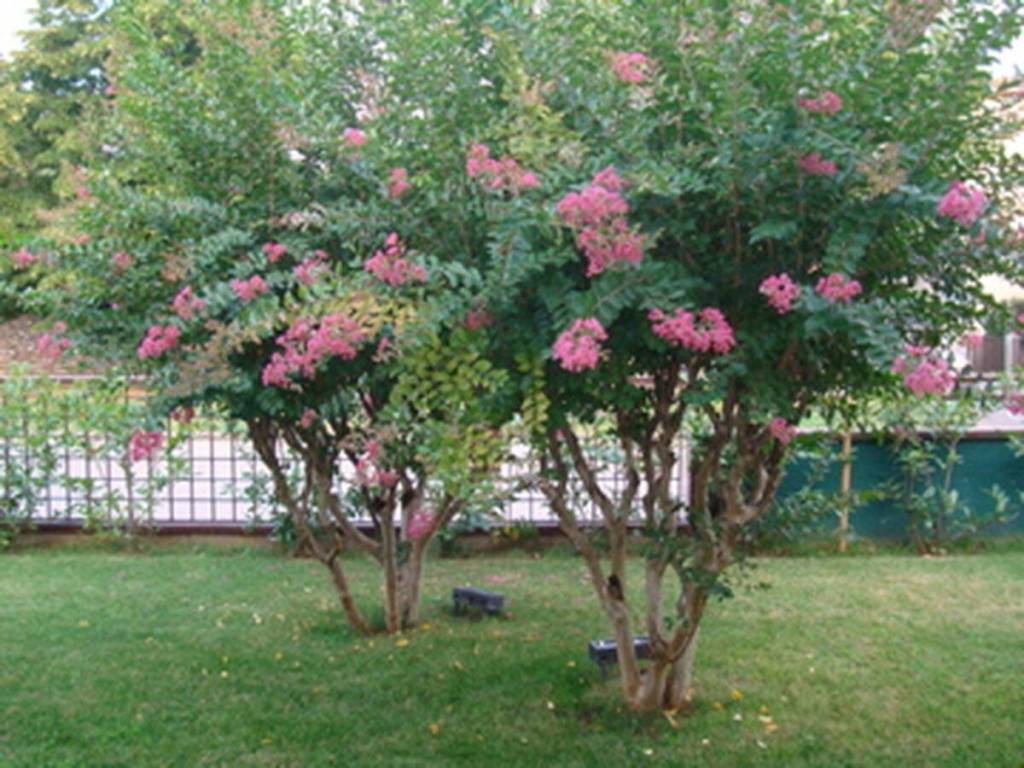 Villa a San giovanni lupatoto - Foto 5