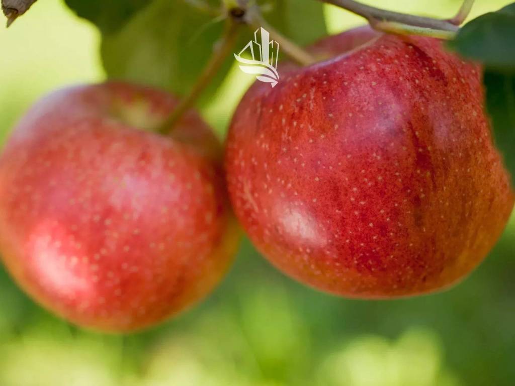 Terreno a Laives in Via Vurza - Foto 2