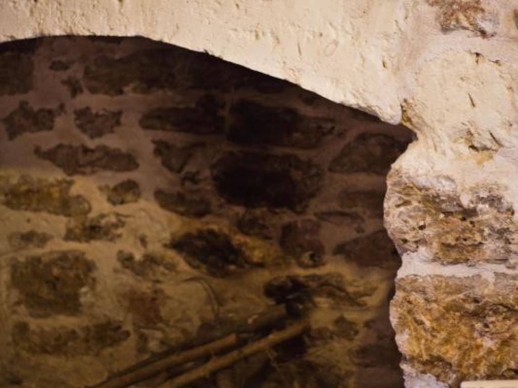 Rustico / casale a Villa castelli in Strada Comunale della Pezza Corte 3 - Foto 4