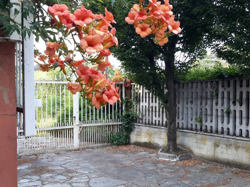 Villa a Revigliasco d'asti in via celle enomondo - Foto 4