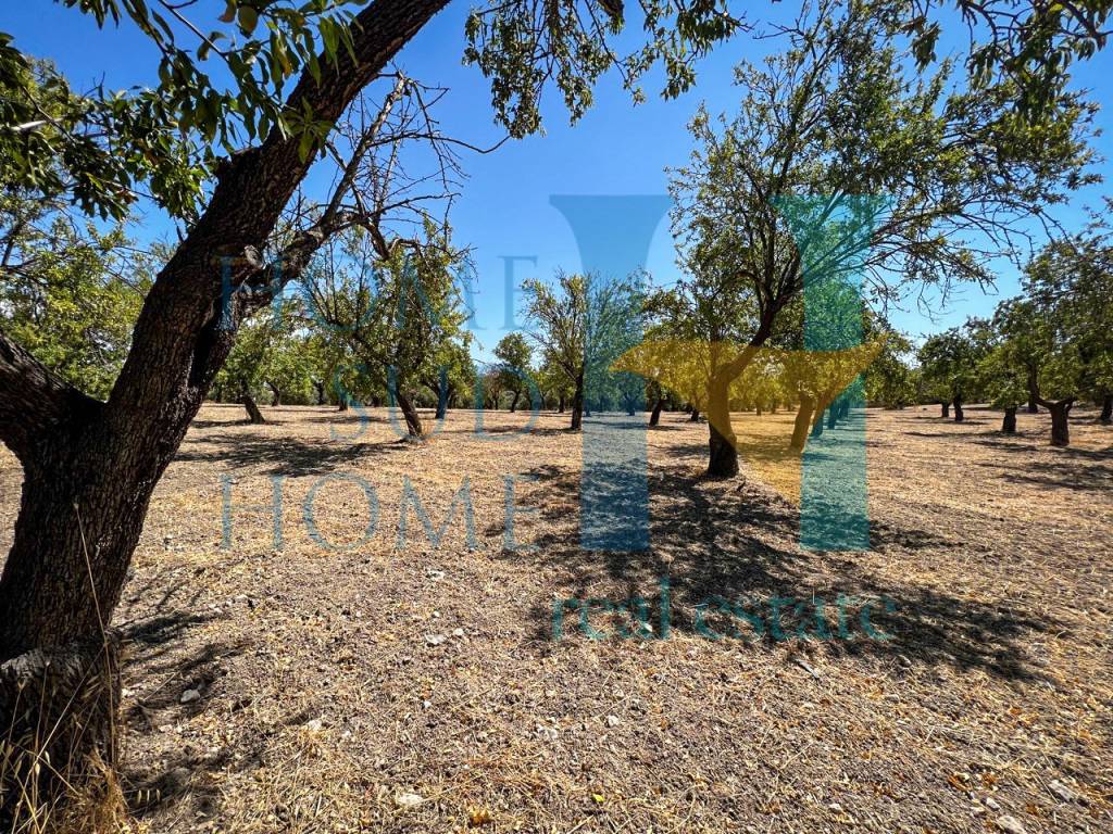 Terreno a Noto in Via Tommaso Fazello, 228 - Foto 3