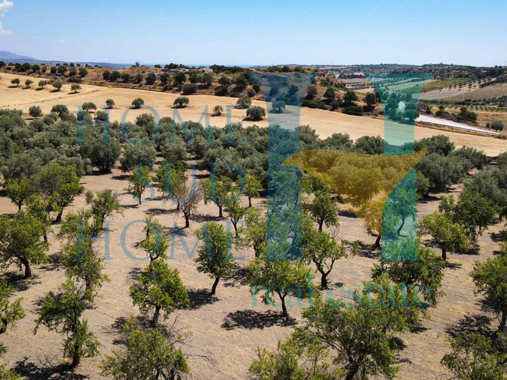 Terreno a Noto in Via Tommaso Fazello, 228 - Foto 4