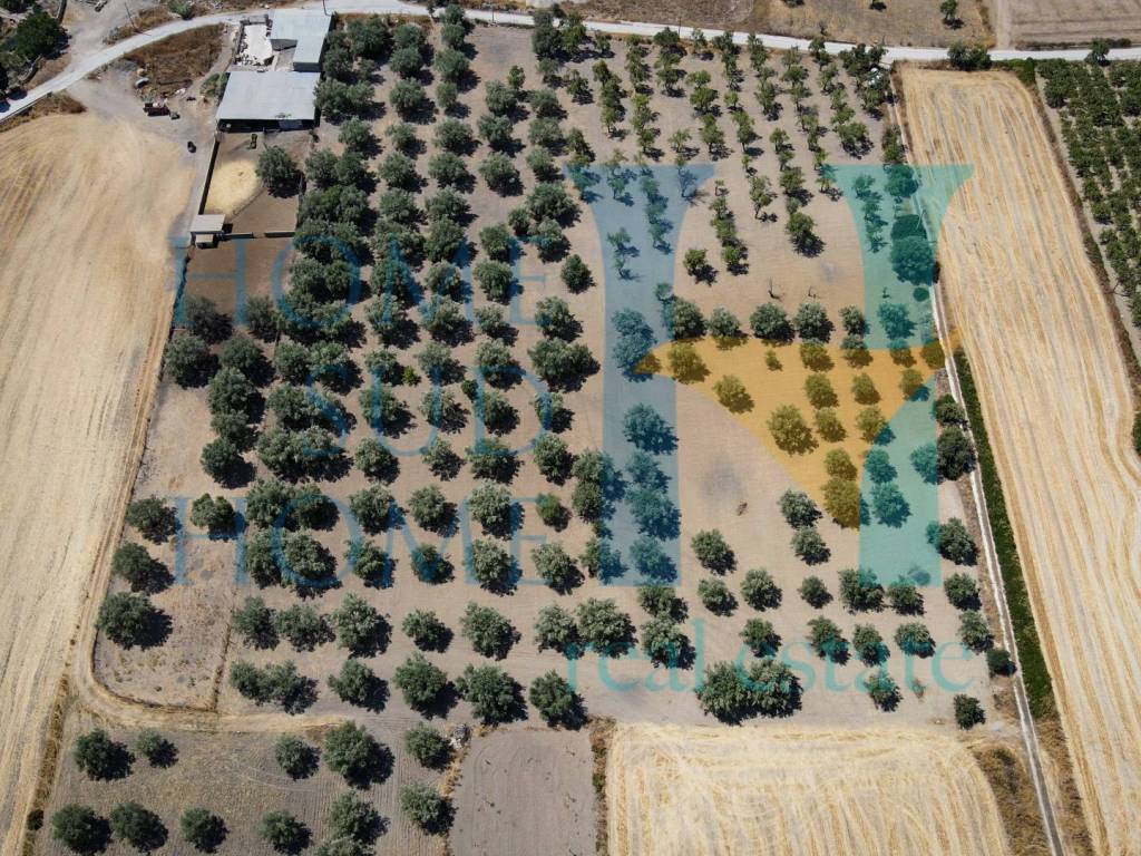 Terreno a Noto in Via Tommaso Fazello, 228 - Foto 5