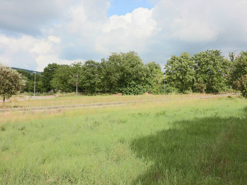 Terreno a Vetralla in Via Campo Giordano - Foto 3