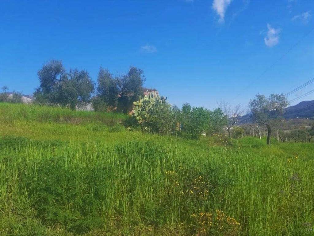 Terreno a Minturno - Foto 4