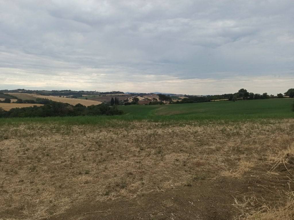 Terreno a Castiglione del lago in Petrignano del Lago - Foto 3