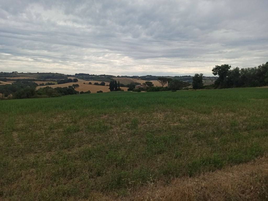 Terreno a Castiglione del lago in Petrignano del Lago - Foto 5