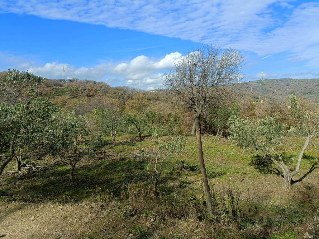 Terreno a Montepaone in SP116 SNC - Foto 3