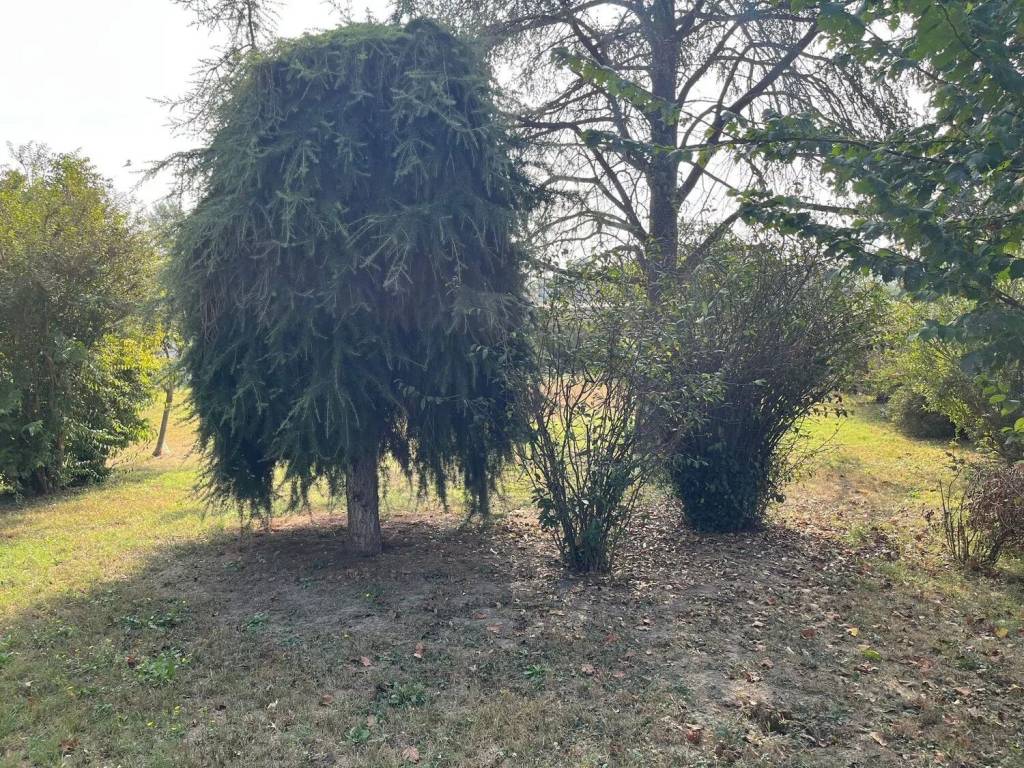 Villa a Rovigo - Foto 5