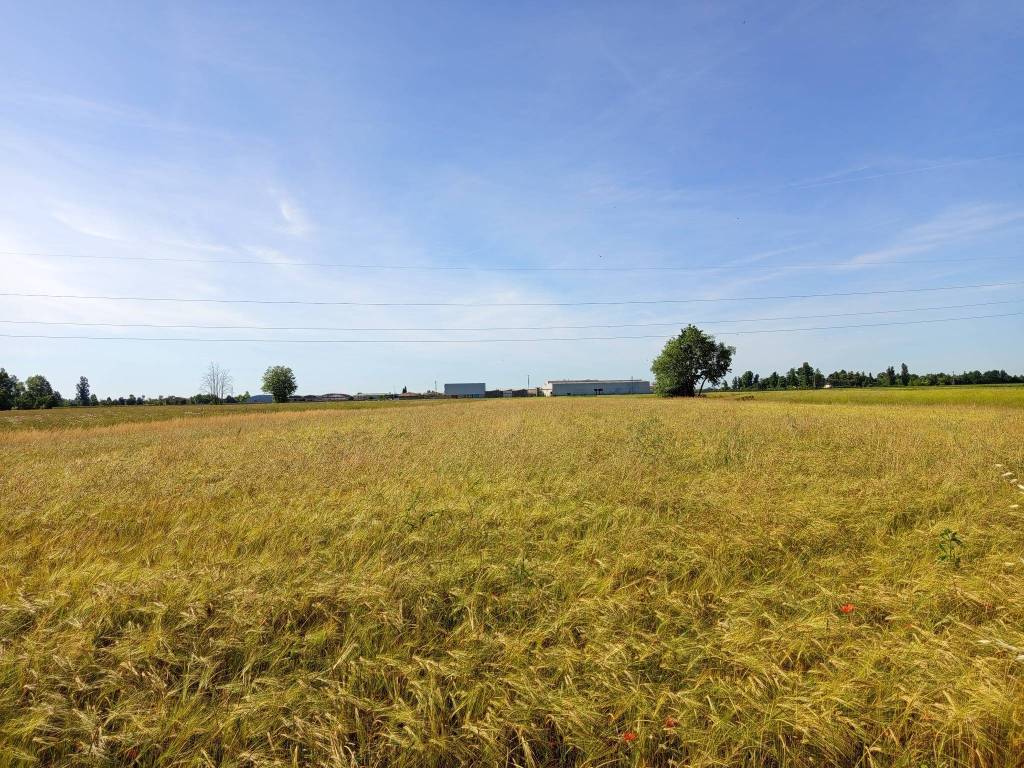 Terreno a Palazzolo dello stella in Via dell'Isola - Foto 2